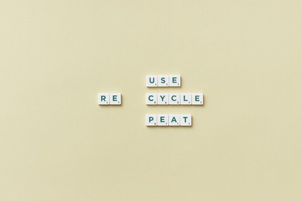 Gilet tactique : Accessoires militaires modernes