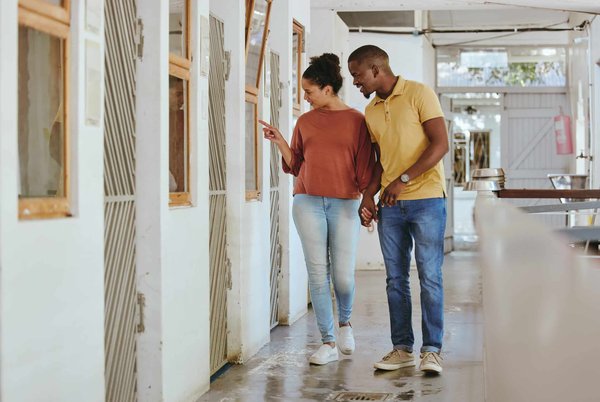 Le processus d'adoption d'animaux : étape par étape