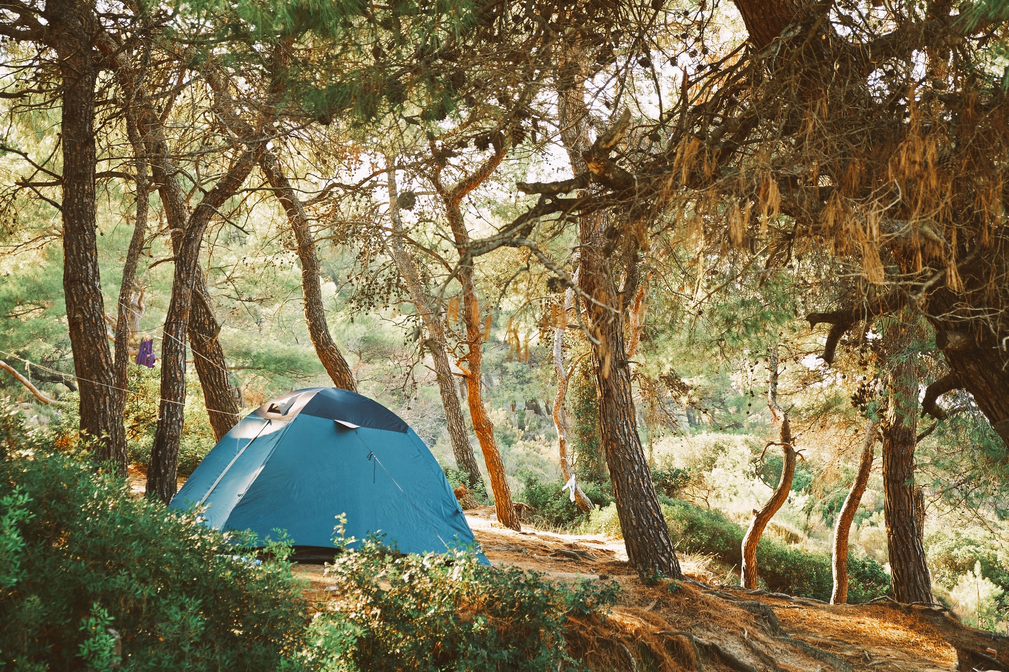 Où se place le  camping d’Ibardin ?