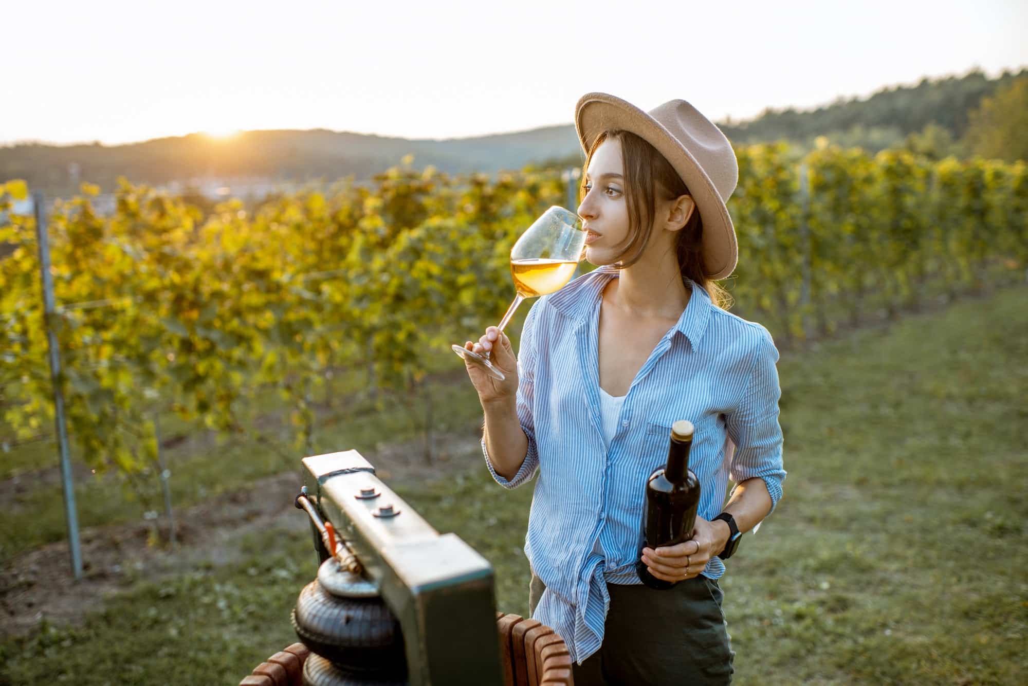 Pourquoi déguster aux vins de la Loire ?