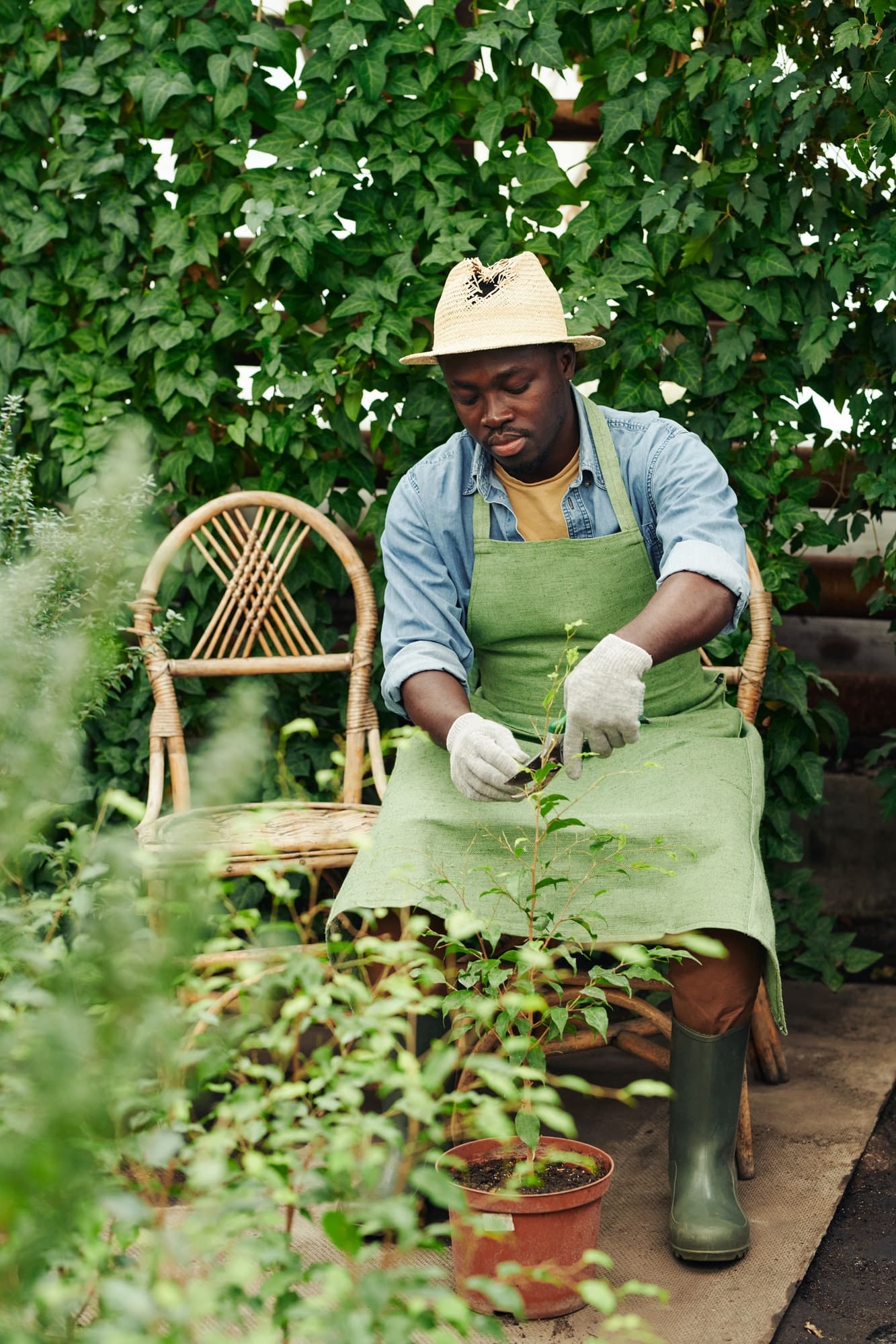 Cultiver son jardin en ville : techniques et astuces pour les espaces réduits